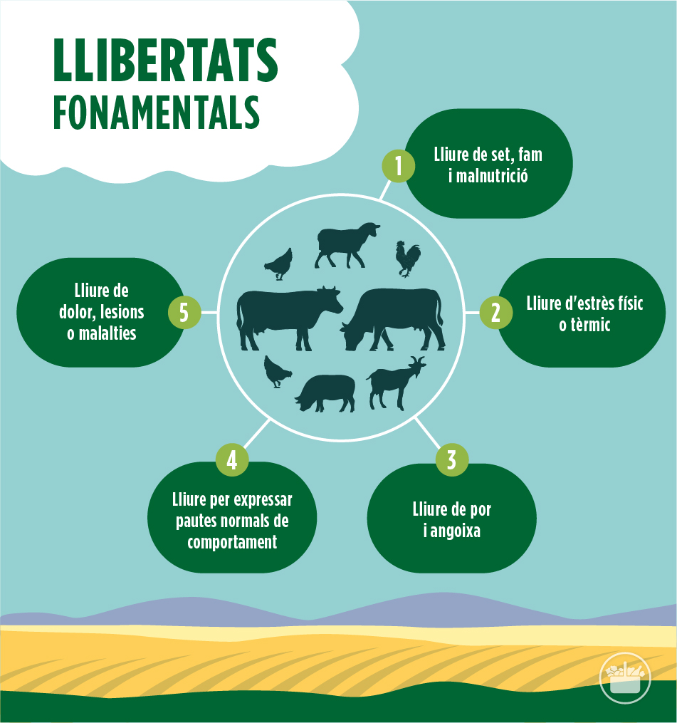 Llibertats fonamentals dels animals