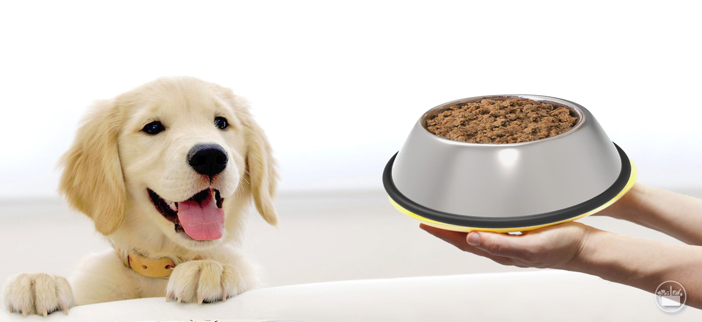 Descobreix les característiques de l'aliment humit per a la teva mascota i com el pots combinar amb el sec.