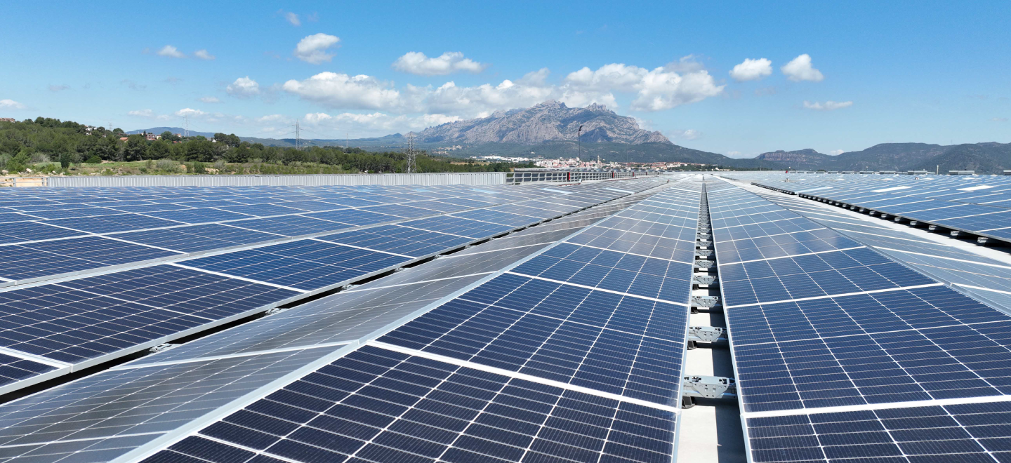 Mercadona’s renewable energy milestone