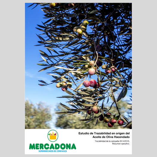 Traceability at origin study for Hacendado Olive Oil (NEORIS)