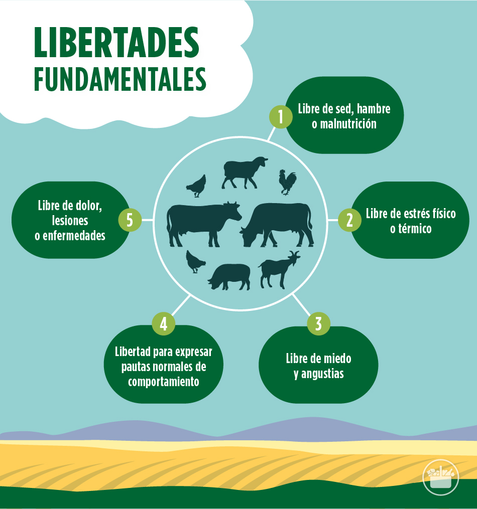 Libertades fundamentales de los animales