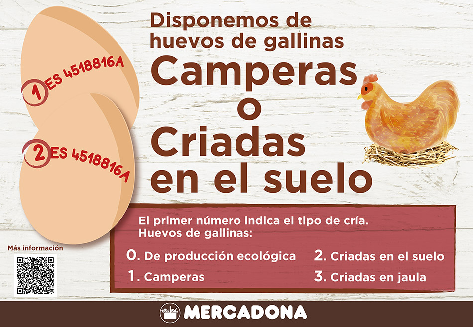 Mercadona ha comenzado a ofrecer en supermercados de las provincias de Valencia y Alicante huevos procedentes de gallinas camperas y criadas en suelo