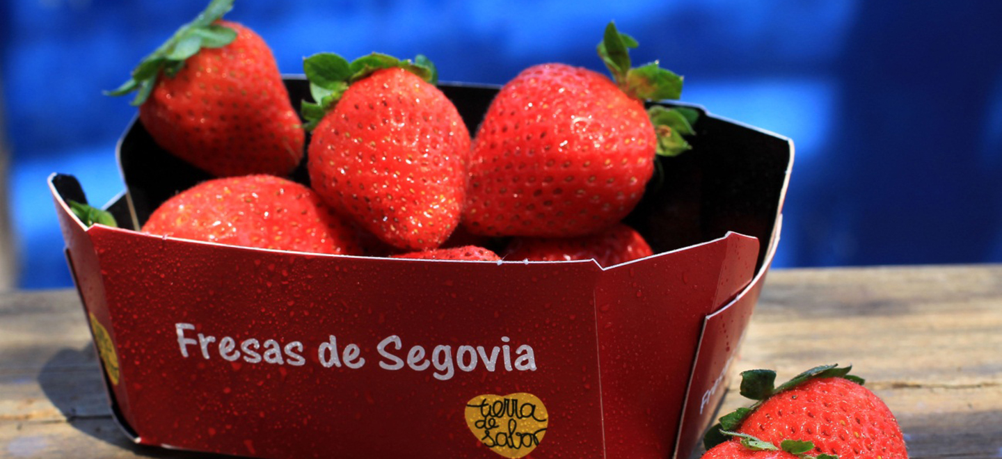 Imagen de una caja con varias fresas procedentes de Segovia.