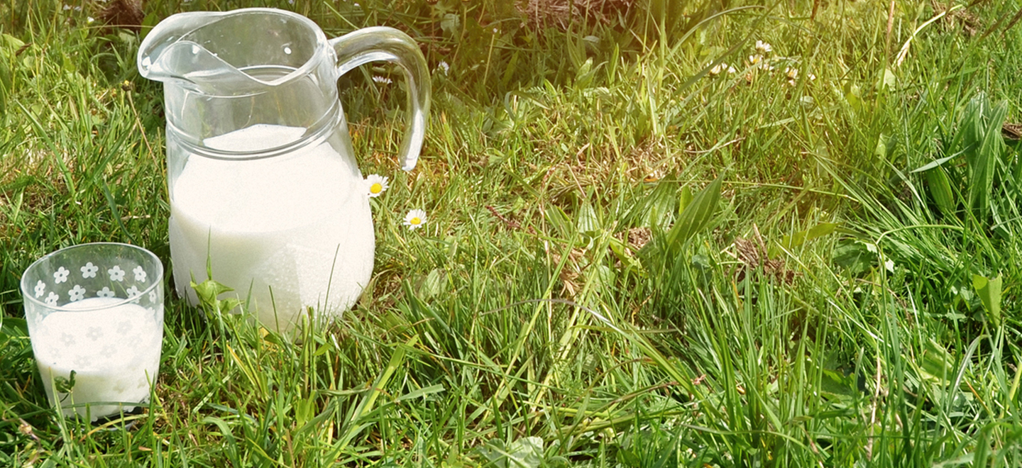 Imagen de una jarra y de un vaso de leche colocados sobre césped.