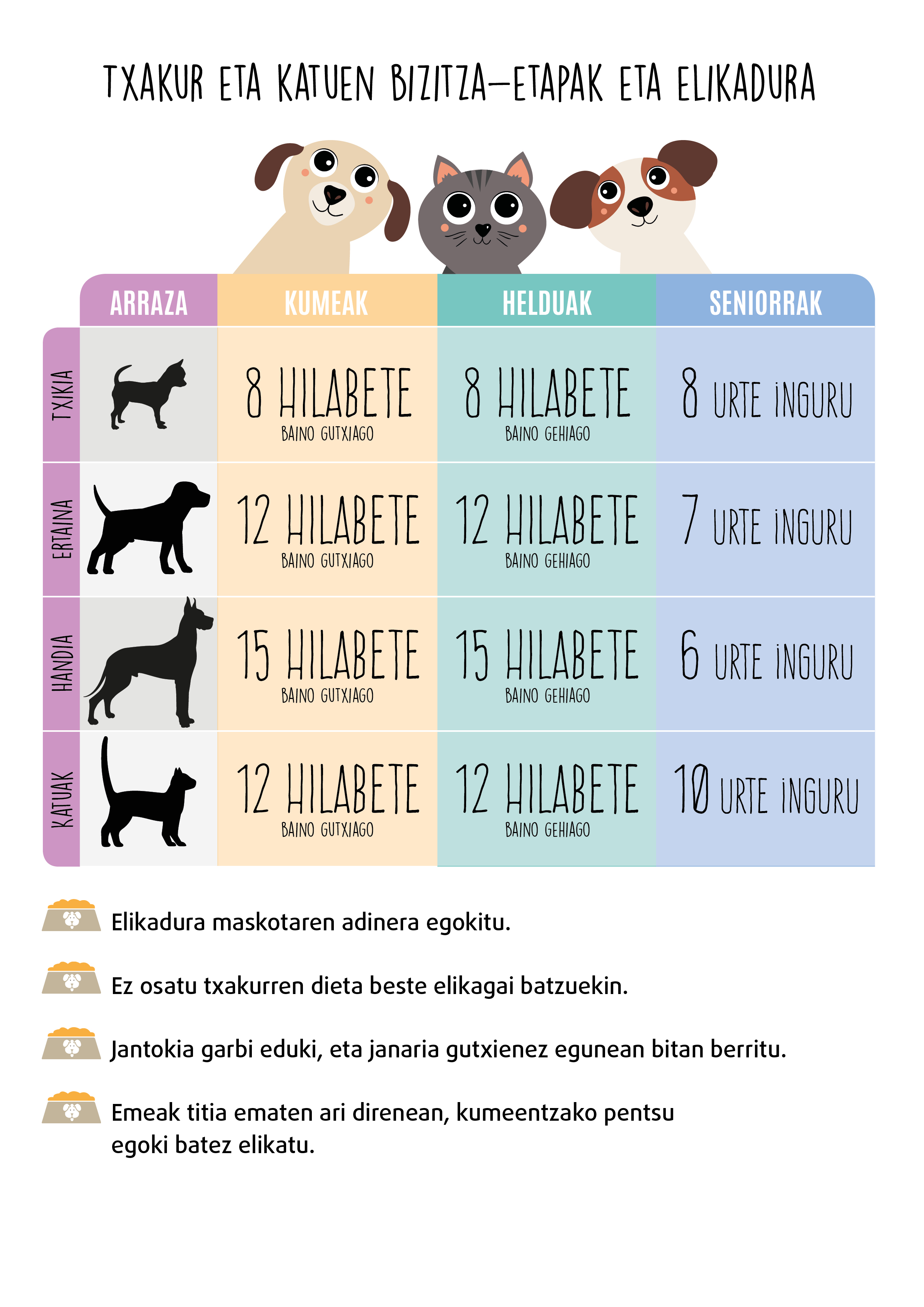Infografía Etapas perros gatos euskera
