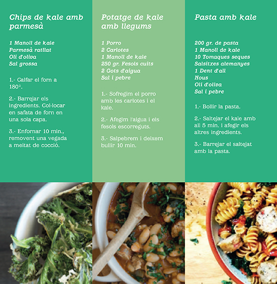 Receptes amb kale
