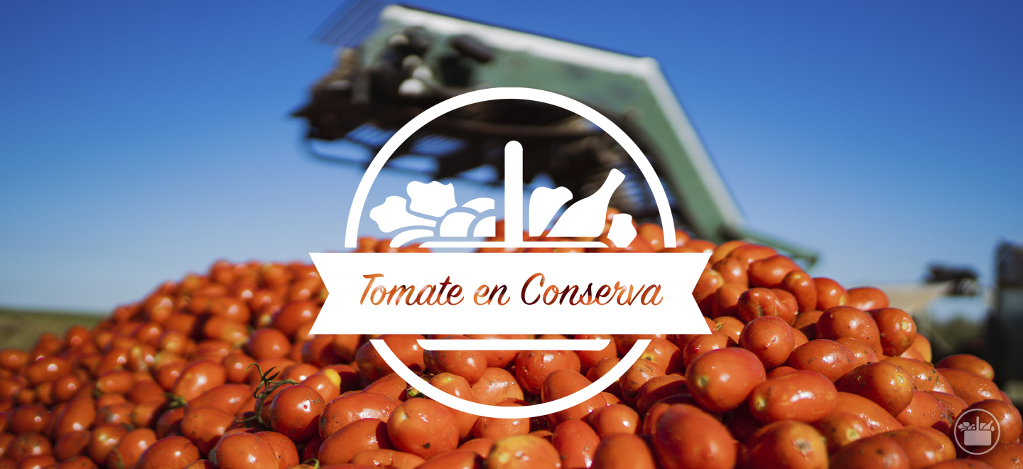 Con nuestra variedad de tomates en conserva Hacendado puedes elaborar cualquier receta. 