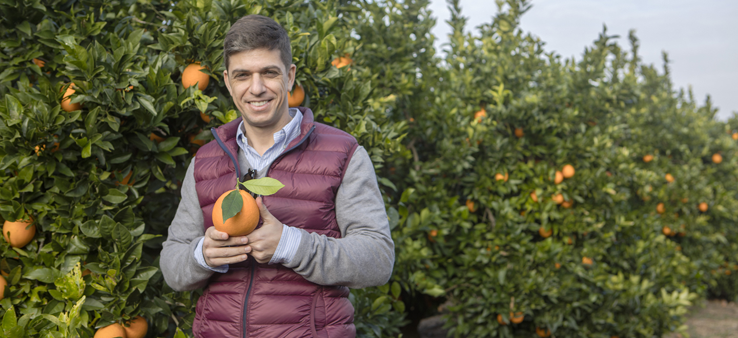 Un agricultor posa con una naranja en sus manos, en un campo de naranjos.