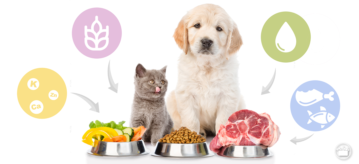 Coñeces os compoñentes nutricionais da comida da túa mascota? Explicámosche o que achega cada un deles. 