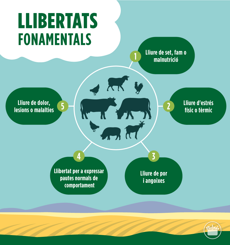 Llibertats fonamentals dels animals